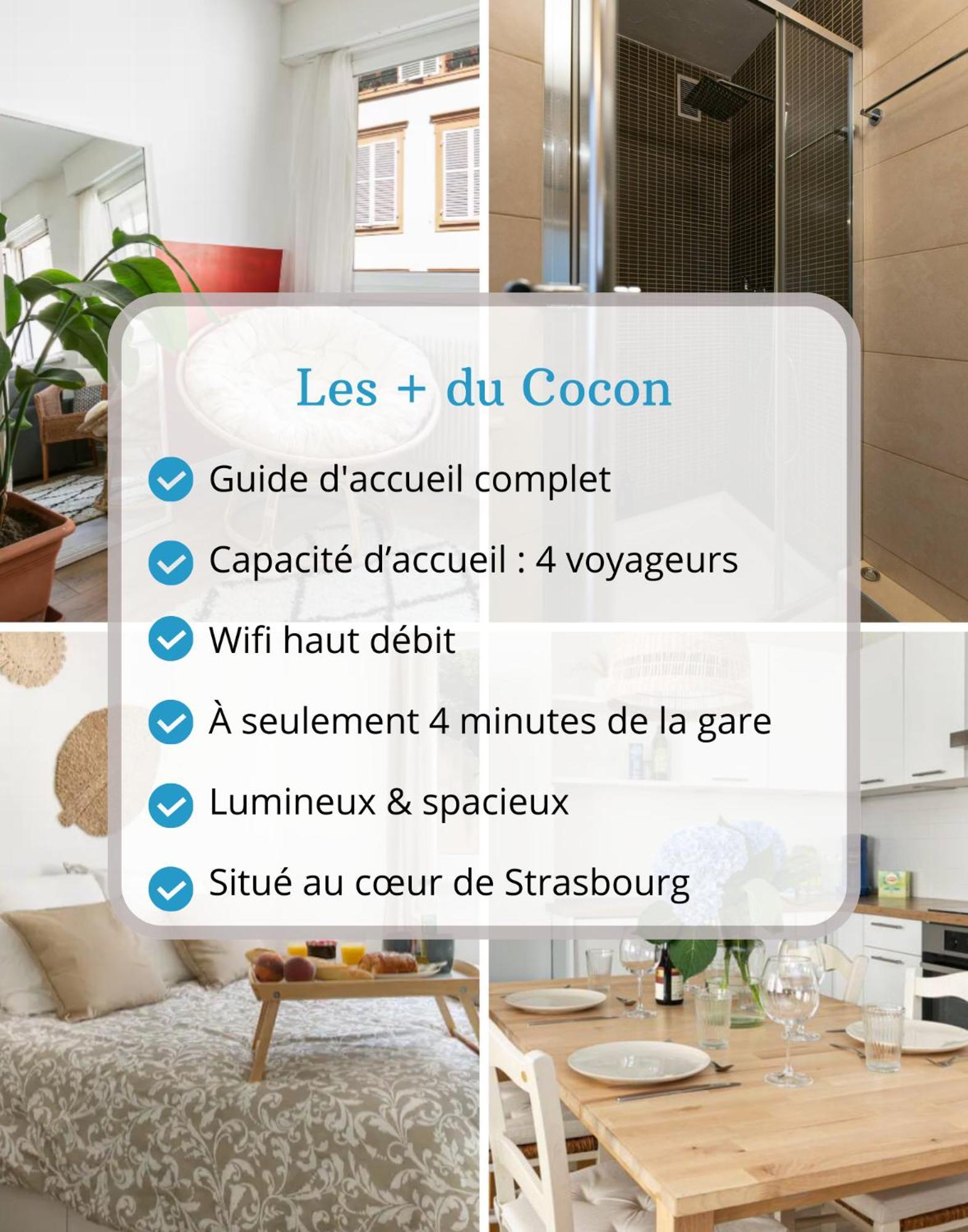 Le Cocon - Proche Gare - Lumineux & Centre Ville - Commerces A Proximite ストラスブール エクステリア 写真
